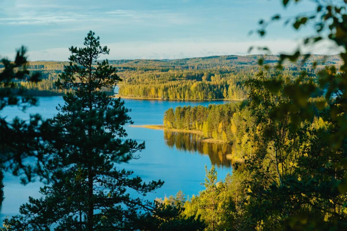 Metsien ympäröimä järvi